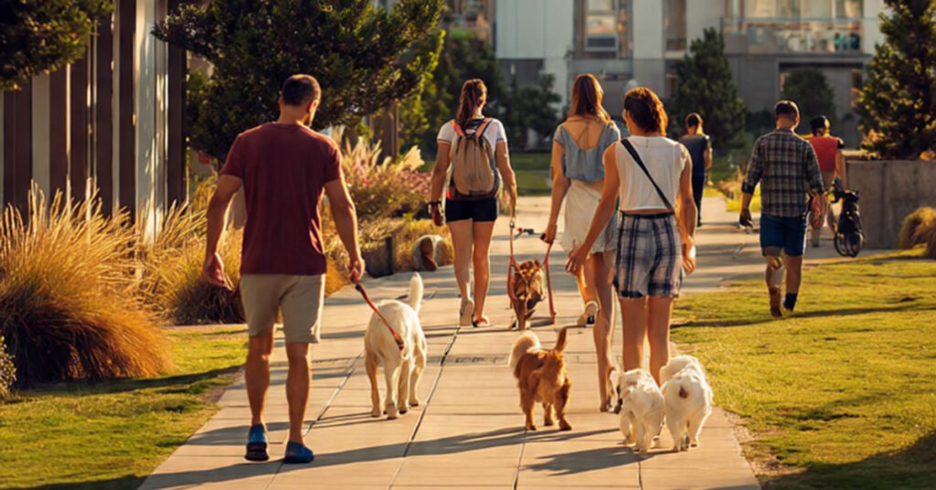 Animais passeando com os seus donos nas áreas comuns do condomínio