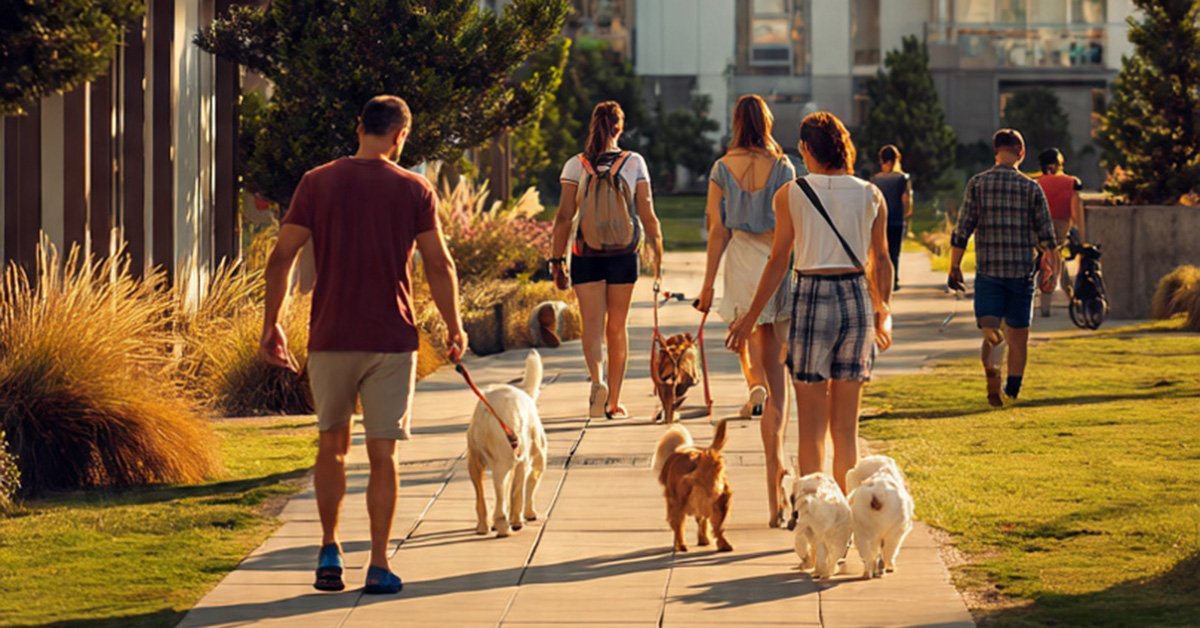No momento, você está visualizando Animais domésticos em condomínios: direitos, deveres e bom senso 