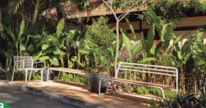 Leia mais sobre o artigo Como jardins valorizam condomínios e ampliam a convivência