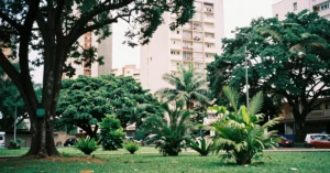 Leia mais sobre o artigo O que é compensação ambiental e por que o síndico deve ficar atento?