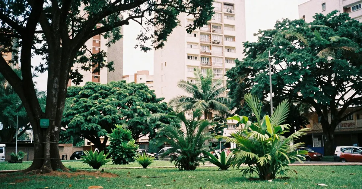 No momento, você está visualizando O que é compensação ambiental e por que o síndico deve ficar atento?