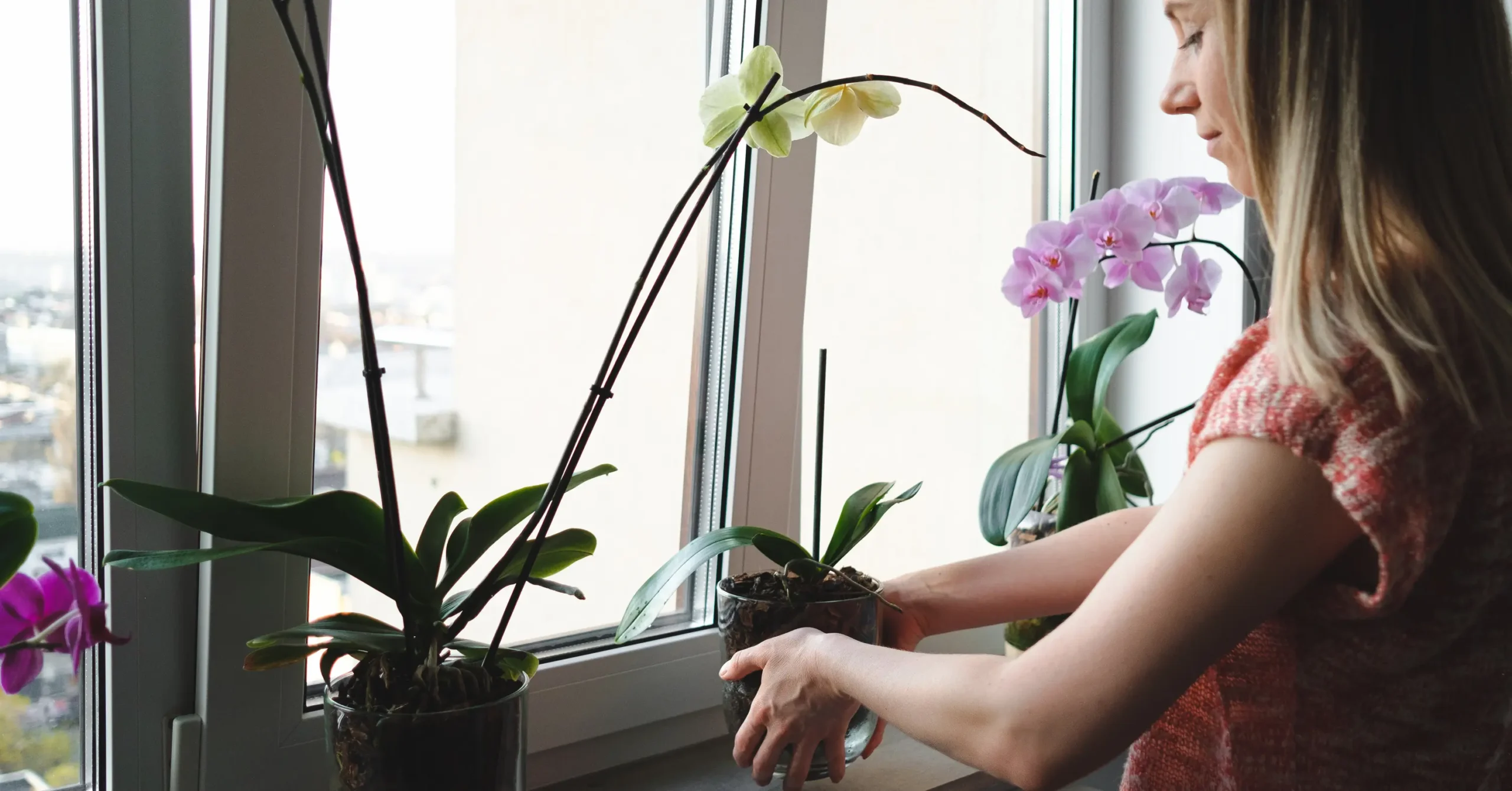 No momento, você está visualizando Objetos atirados pela janela: riscos e responsabilidades  