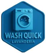 Logo Wash Quick